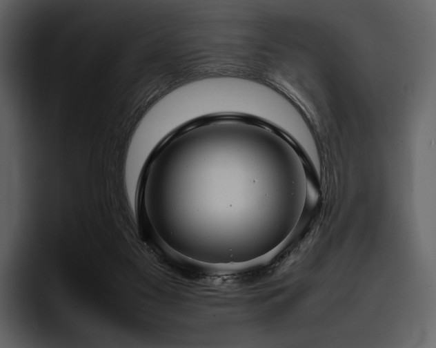 X0000095940117200801111337