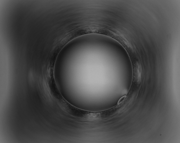 X0000095940126200801111337
