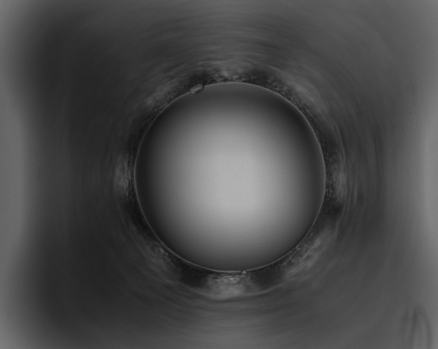X0000095940129200801111337