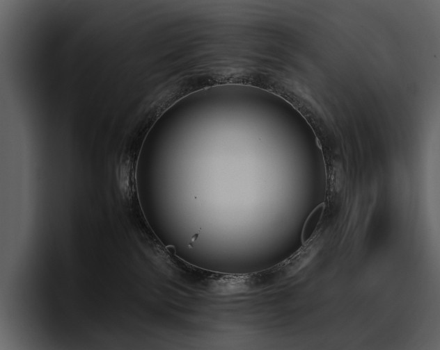 X0000095940138200801111337