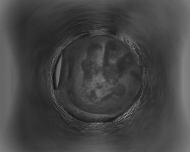 X0000095940145200801111337