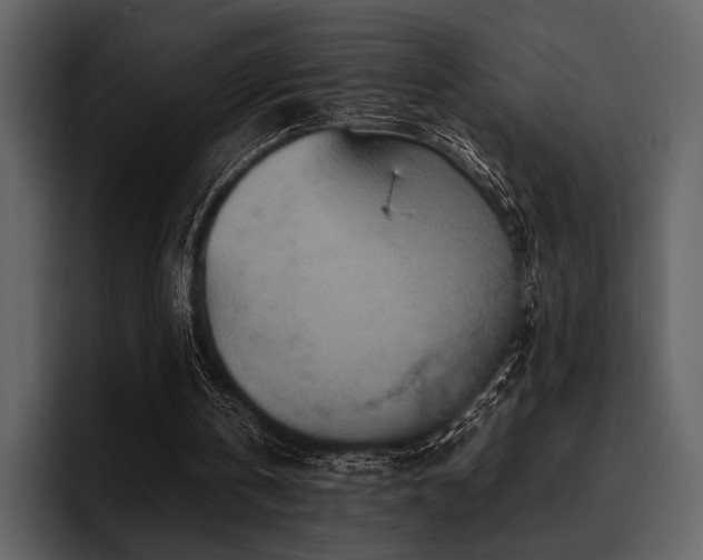 X0000095940146200801111337