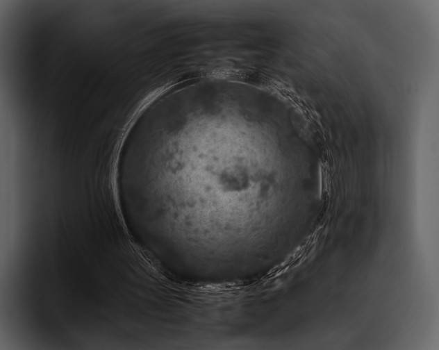 X0000095940147200801111337