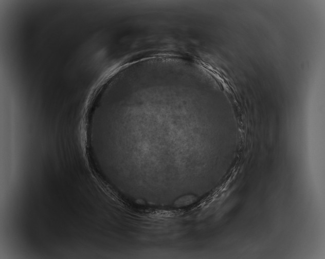 X0000095940149200801111337