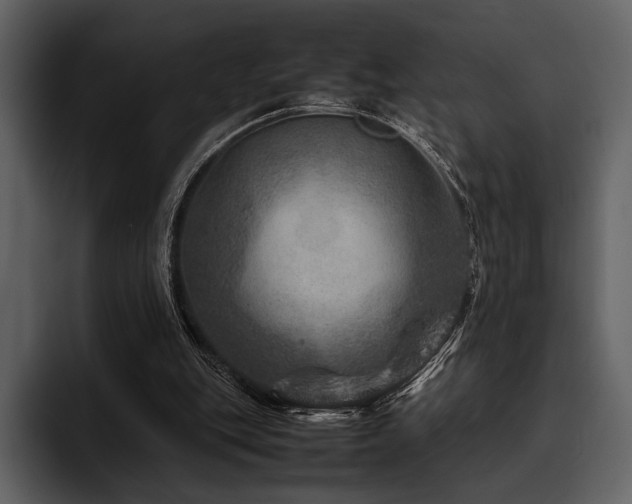 X0000095940151200801111337