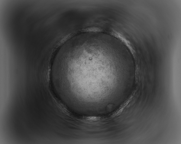 X0000095940153200801111337