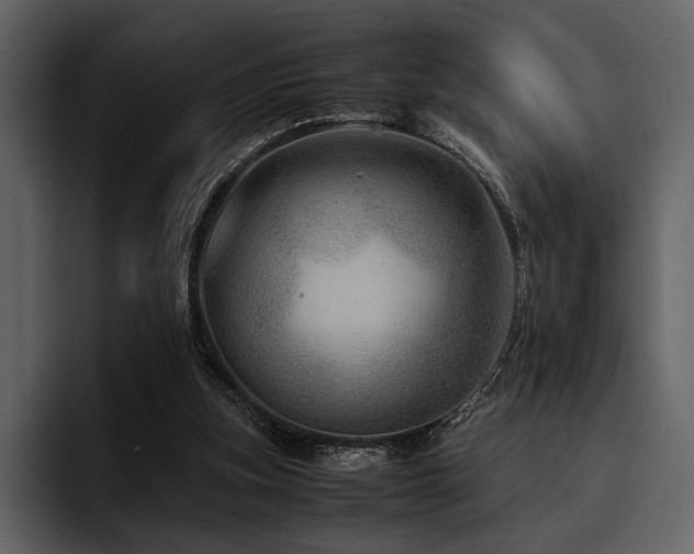 X0000095940155200801111337