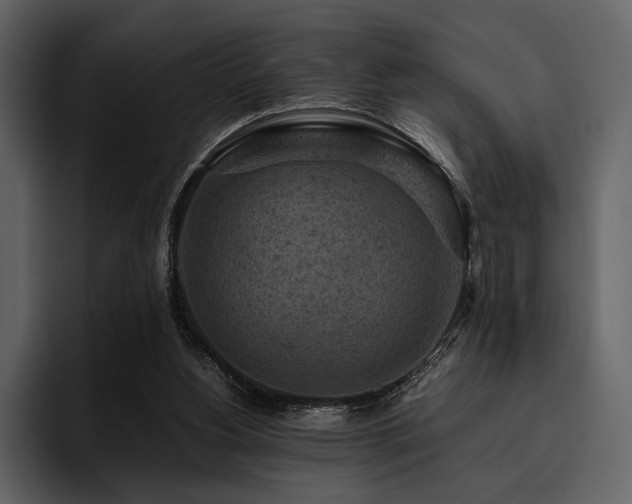 X0000095940156200801111337