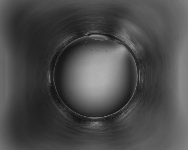 X0000095940157200801111337