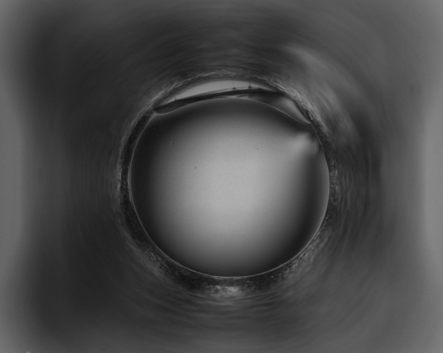 X0000095940159200801111337