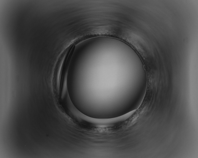 X0000095940160200801111337