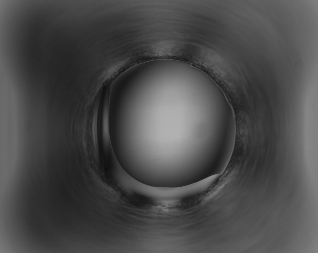 X0000095940164200801111337