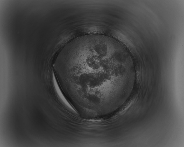 X0000095940165200801111337