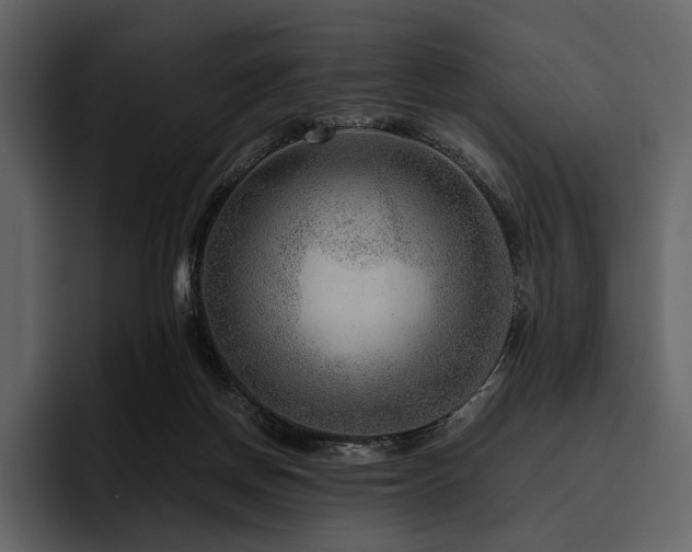 X0000095940166200801111337