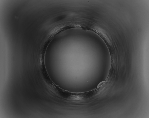 X0000095940167200801111337