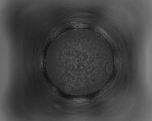 X0000095940169200801111337
