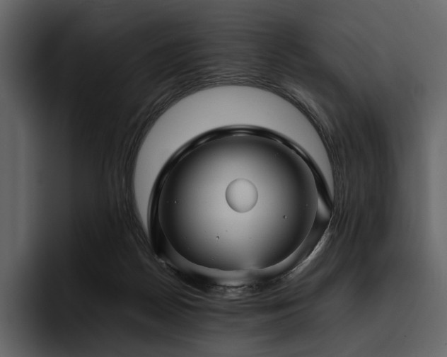X0000095940170200801111337