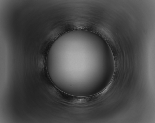 X0000095940174200801111337