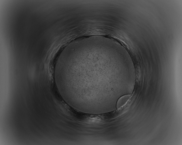 X0000095940175200801111337