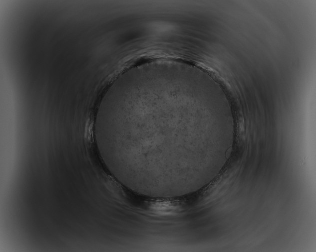 X0000095940177200801111337