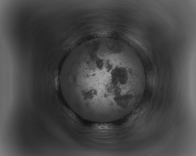 X0000095940181200801111337
