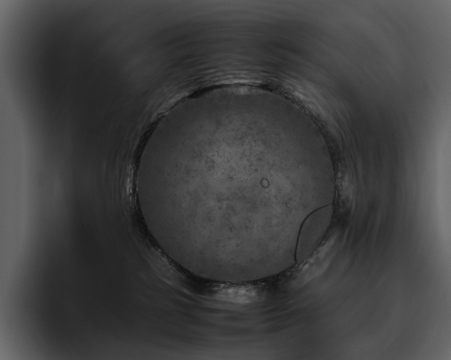 X0000095940185200801111337