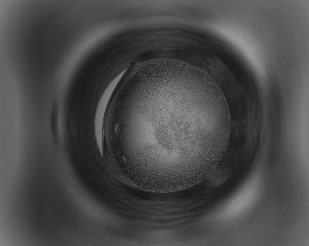 X0000095940189200801111337