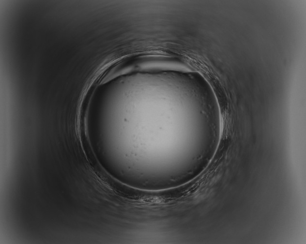 X0000095940195200801111336