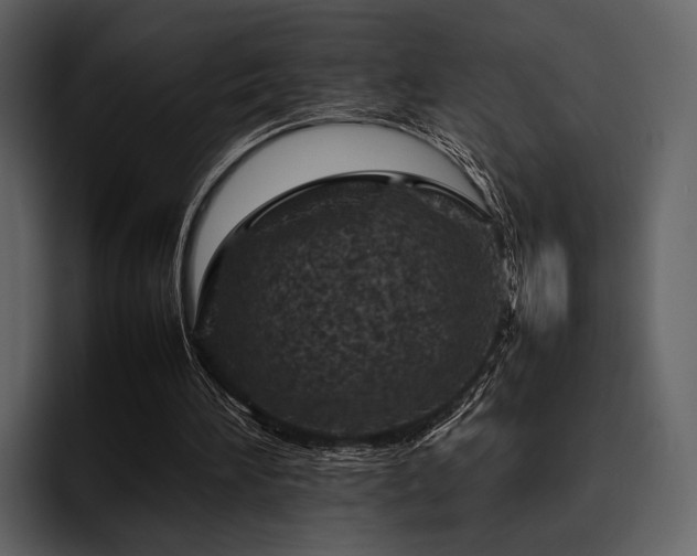 X0000095940196200801111336