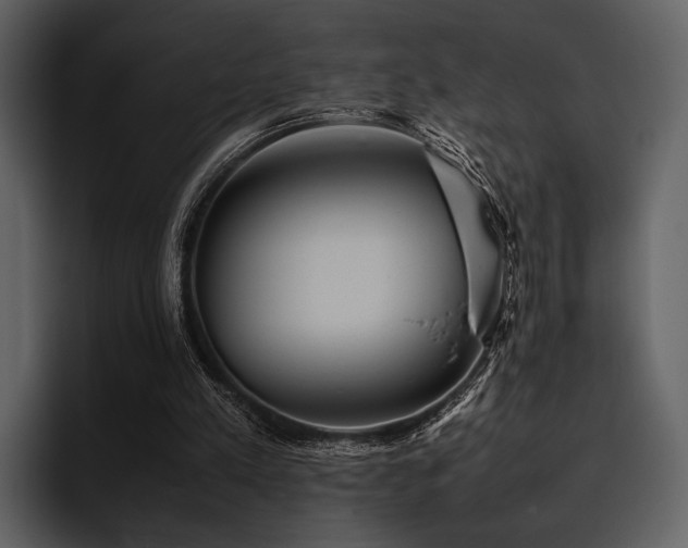 X0000095940197200801111336