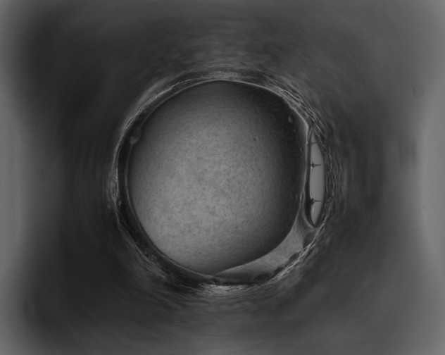 X0000095940198200801111336