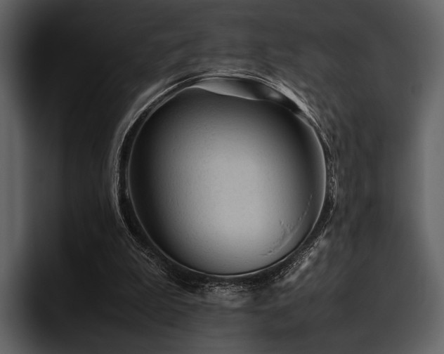 X0000095940199200801111336