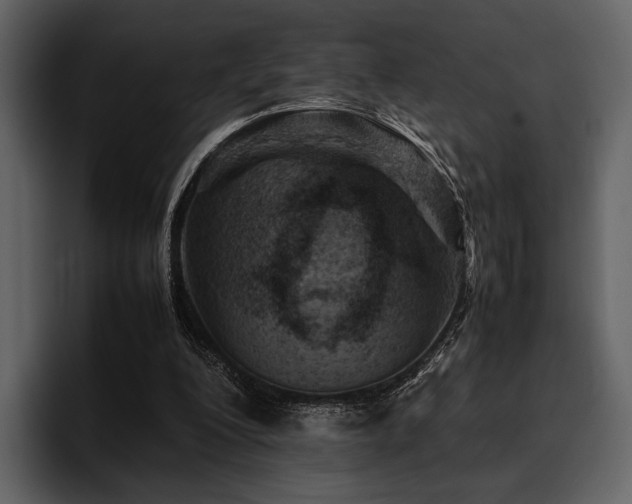 X0000095940200200801111336