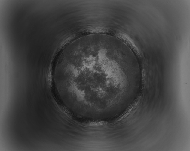 X0000095940202200801111336