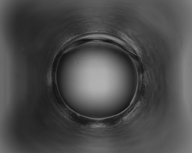 X0000095940203200801111336