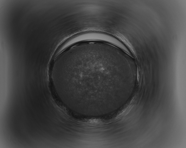 X0000095940204200801111336