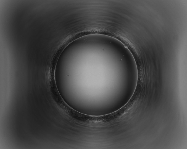 X0000095940208200801111336