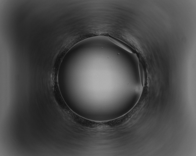 X0000095940210200801111336