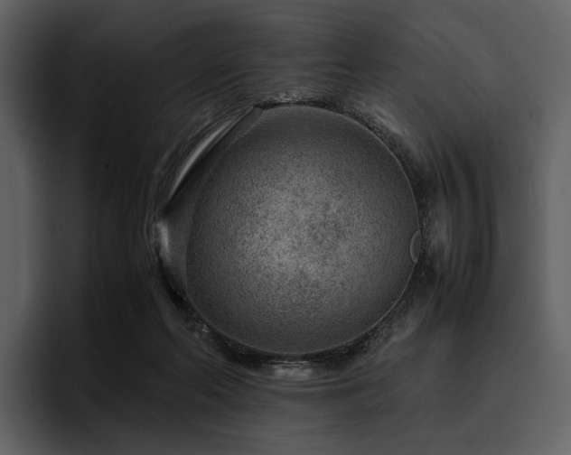 X0000095940214200801111336