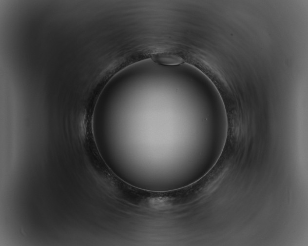 X0000095940216200801111336