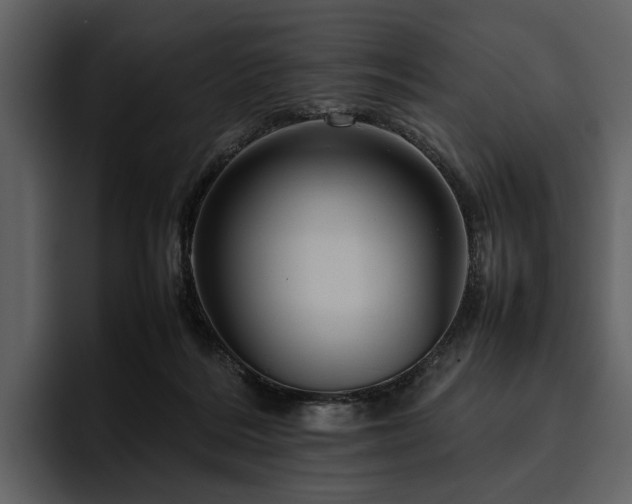 X0000095940220200801111336