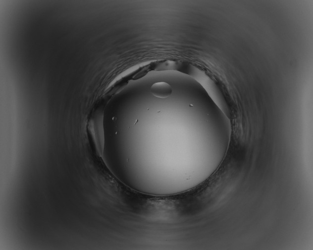 X0000095940221200801111336