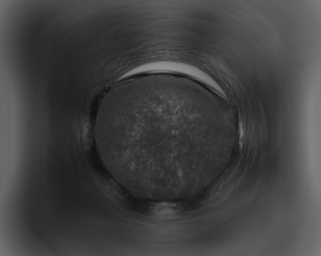X0000095940222200801111336