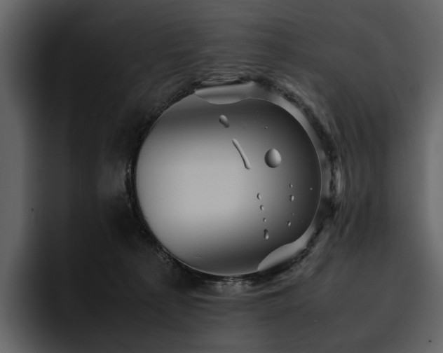 X0000095940225200801111336