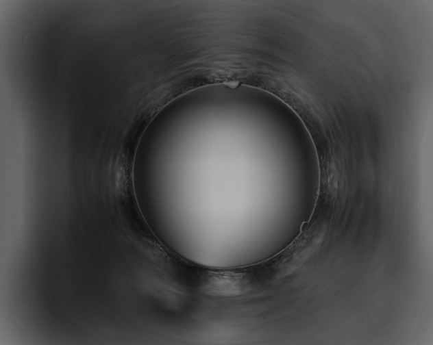 X0000095940226200801111336