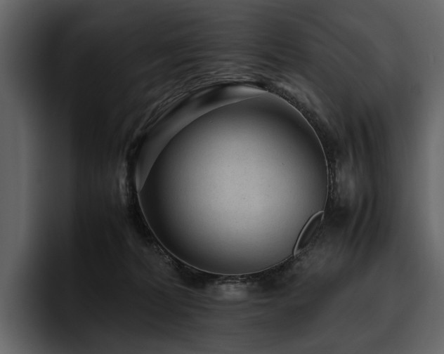 X0000095940228200801111336