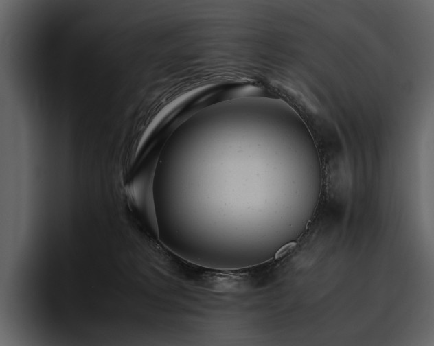X0000095940229200801111336