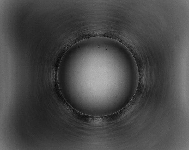 X0000095940230200801111336