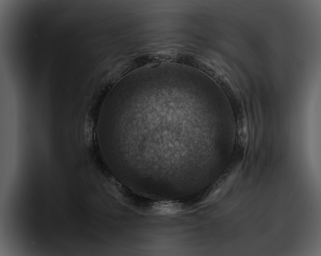 X0000095940231200801111336