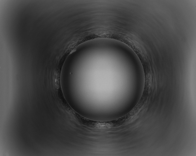 X0000095940234200801111336